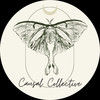 causalcollectiv